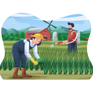 Agriculture innovations at COEP's BHAU Institute enhancing farming practices and sustainability.